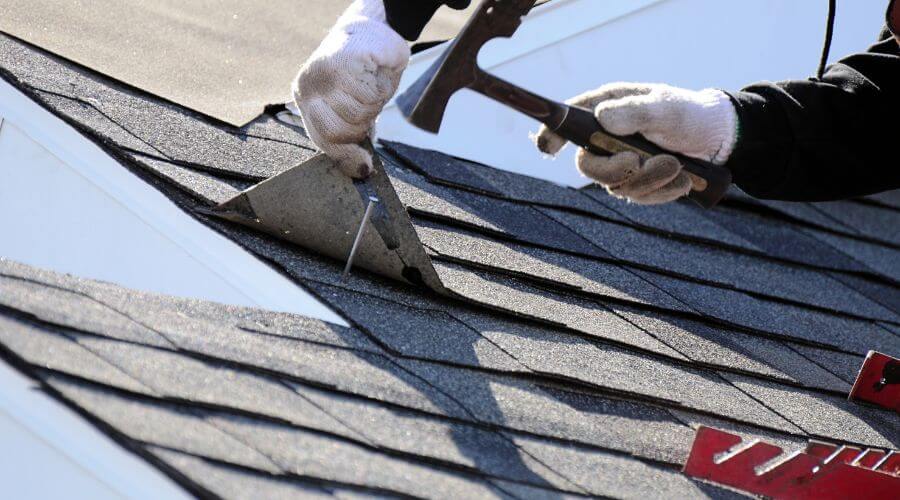 Professional gutter cleaning in Palm Coast, FL